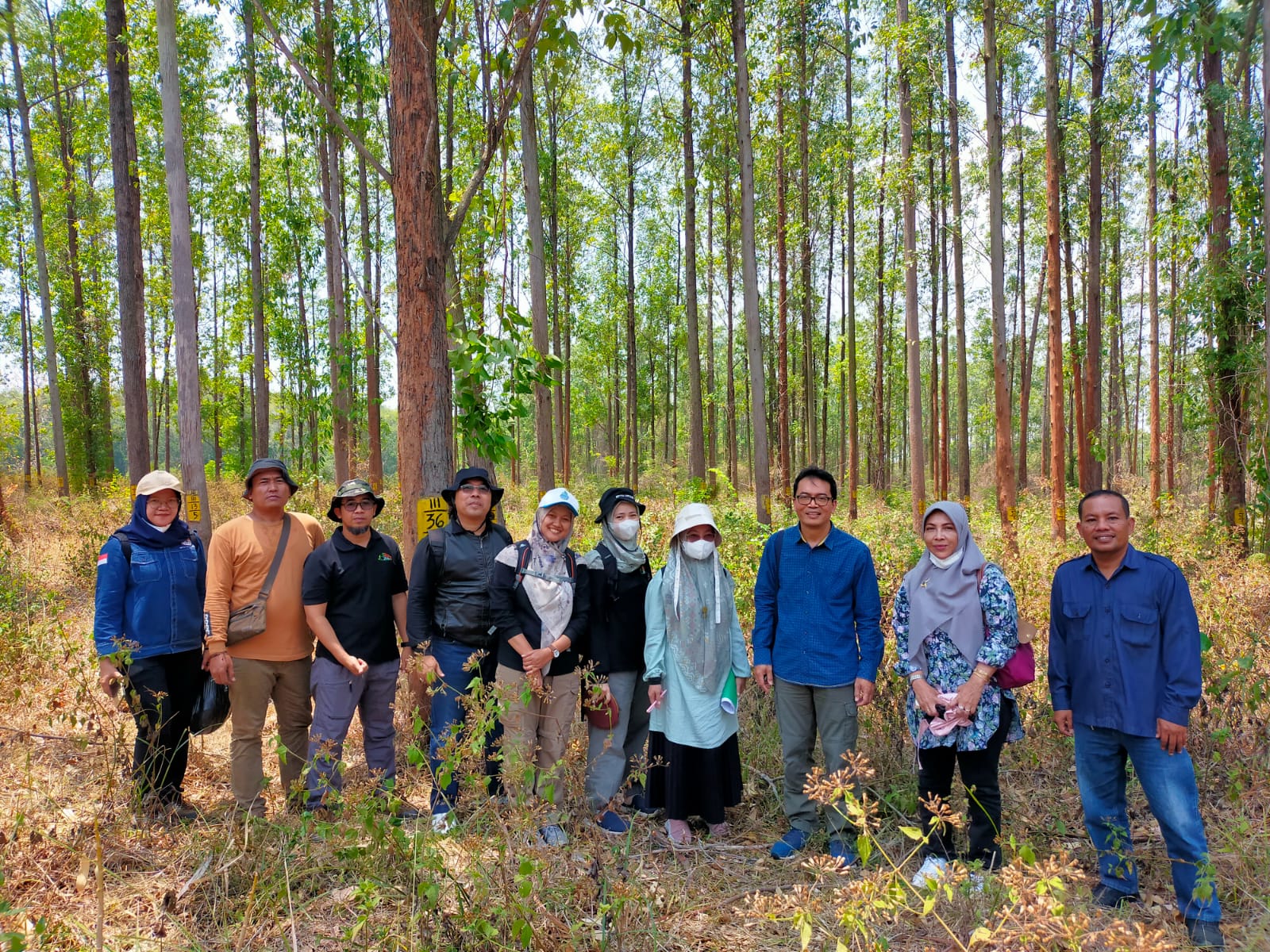 SERTIFIKASI SUMBER BENIH BBPSIK, MENUJU HUTAN LESTARI, PRODUKTIF DAN ...